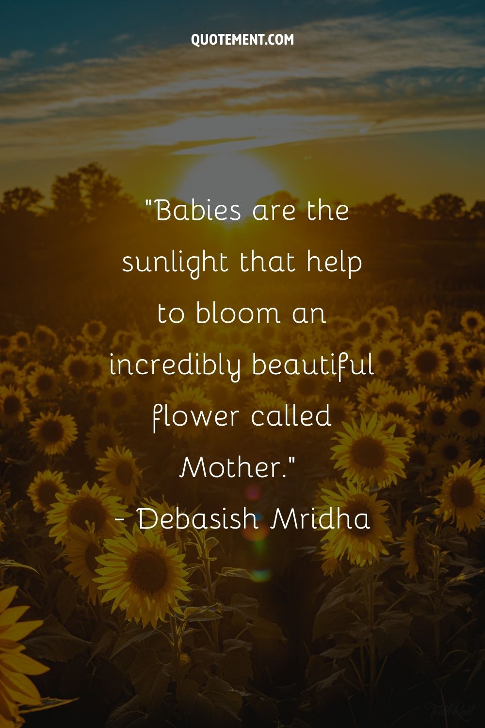 Babies are the sunlight that help to bloom an incredibly beautiful flower called Mother.