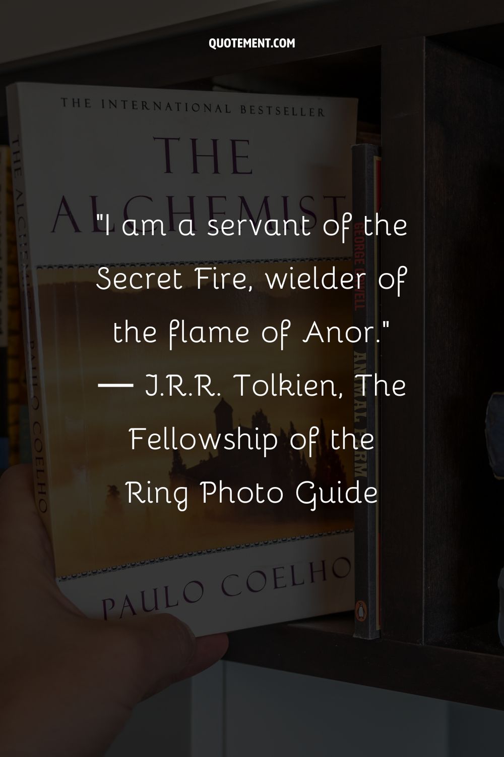 I am a servant of the Secret Fire, wielder of the flame of Anor.