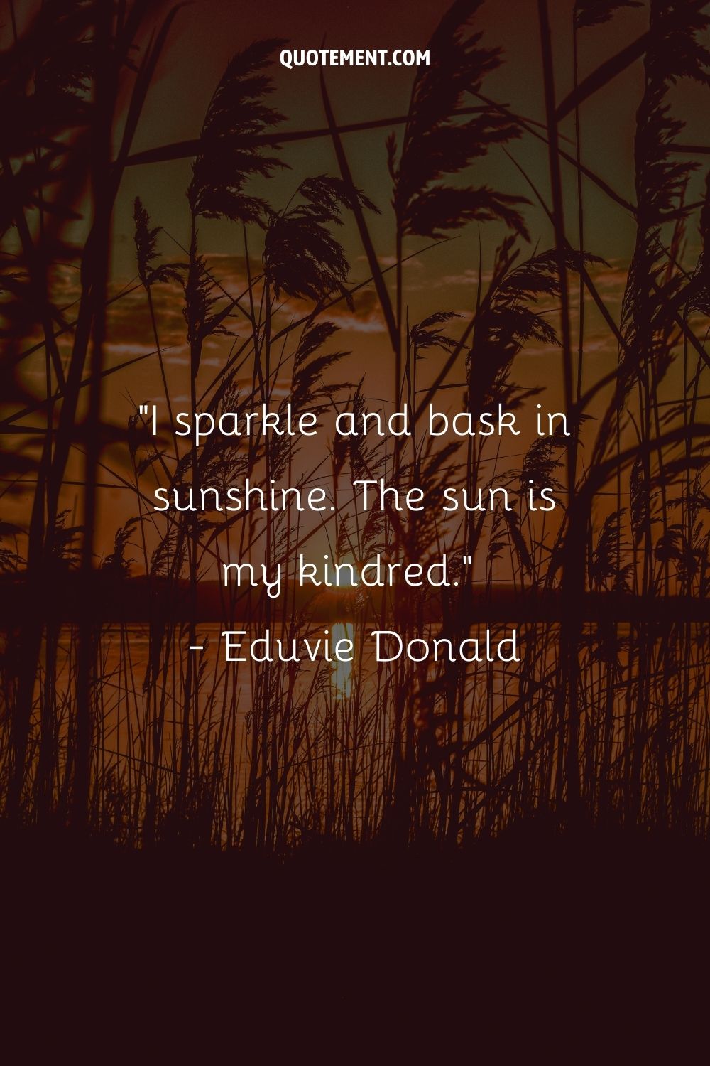 I sparkle and bask in sunshine. The sun is my kindred
