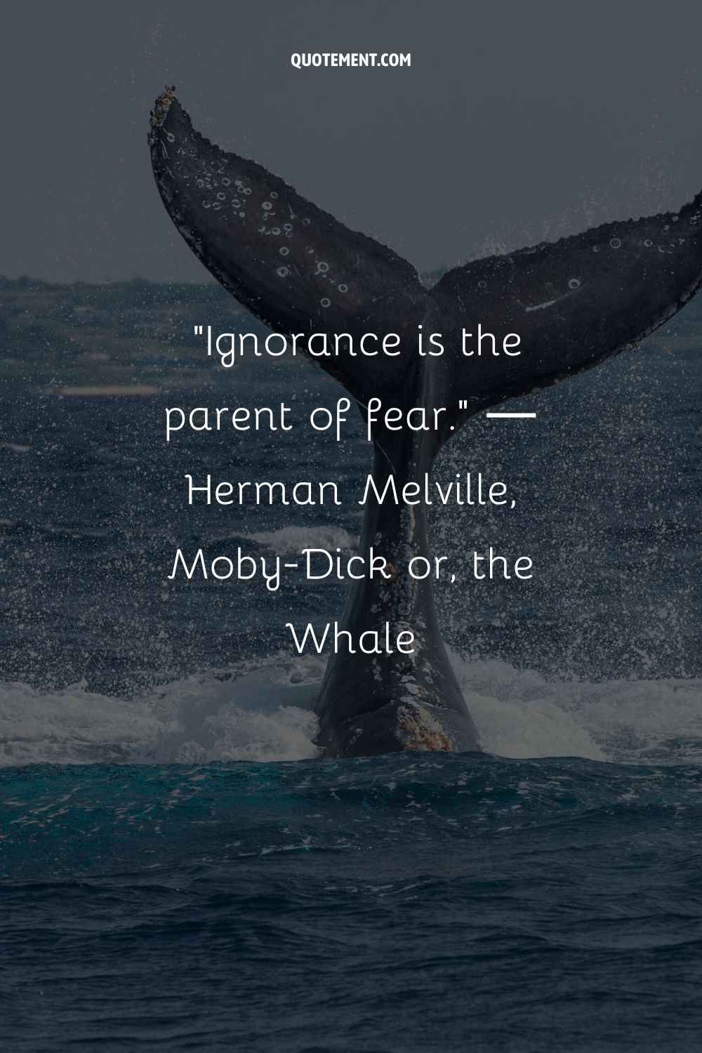 Ignorance is the parent of fear.