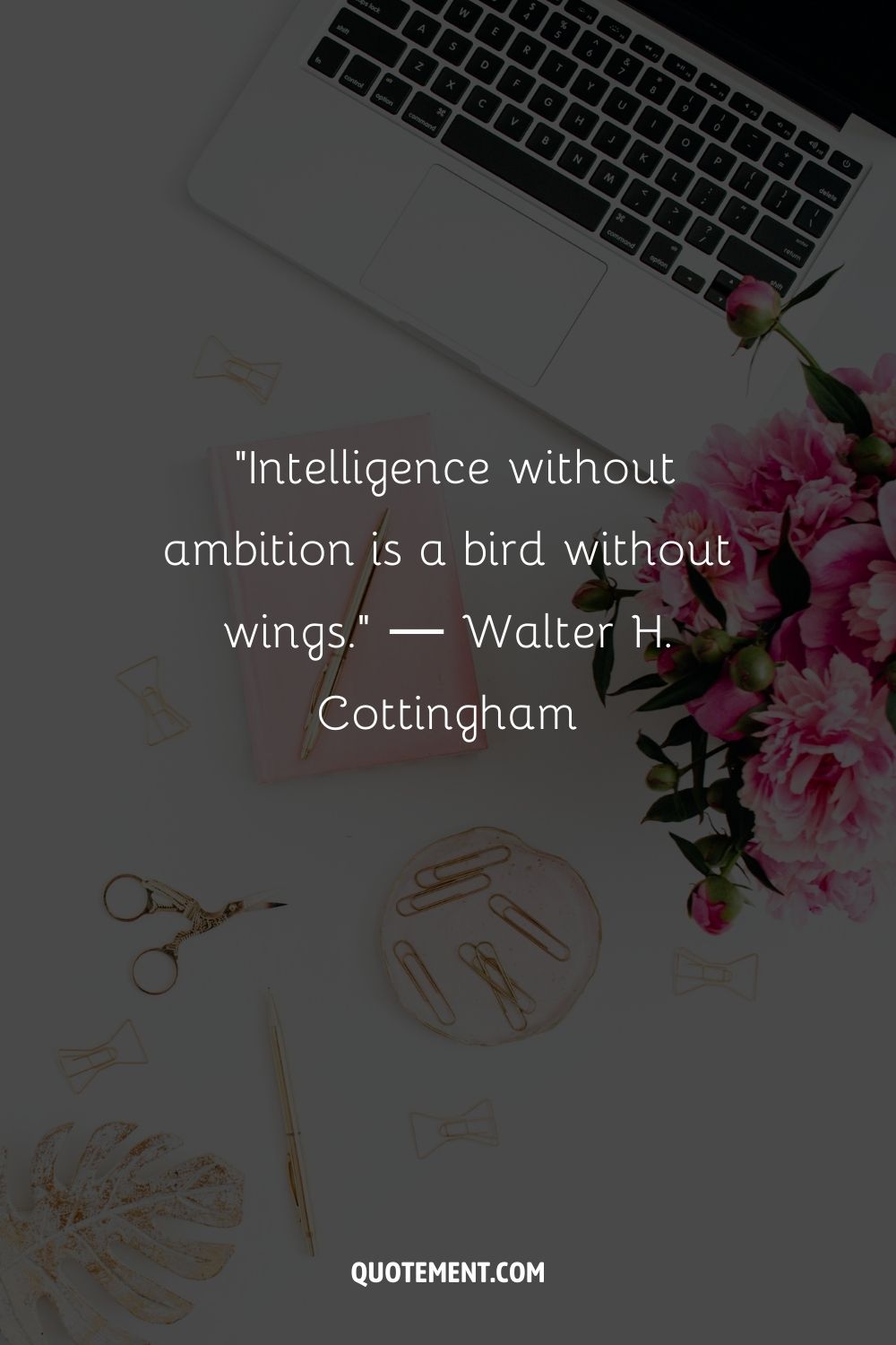 “Intelligence without ambition is a bird without wings.” ― Walter H. Cottingham