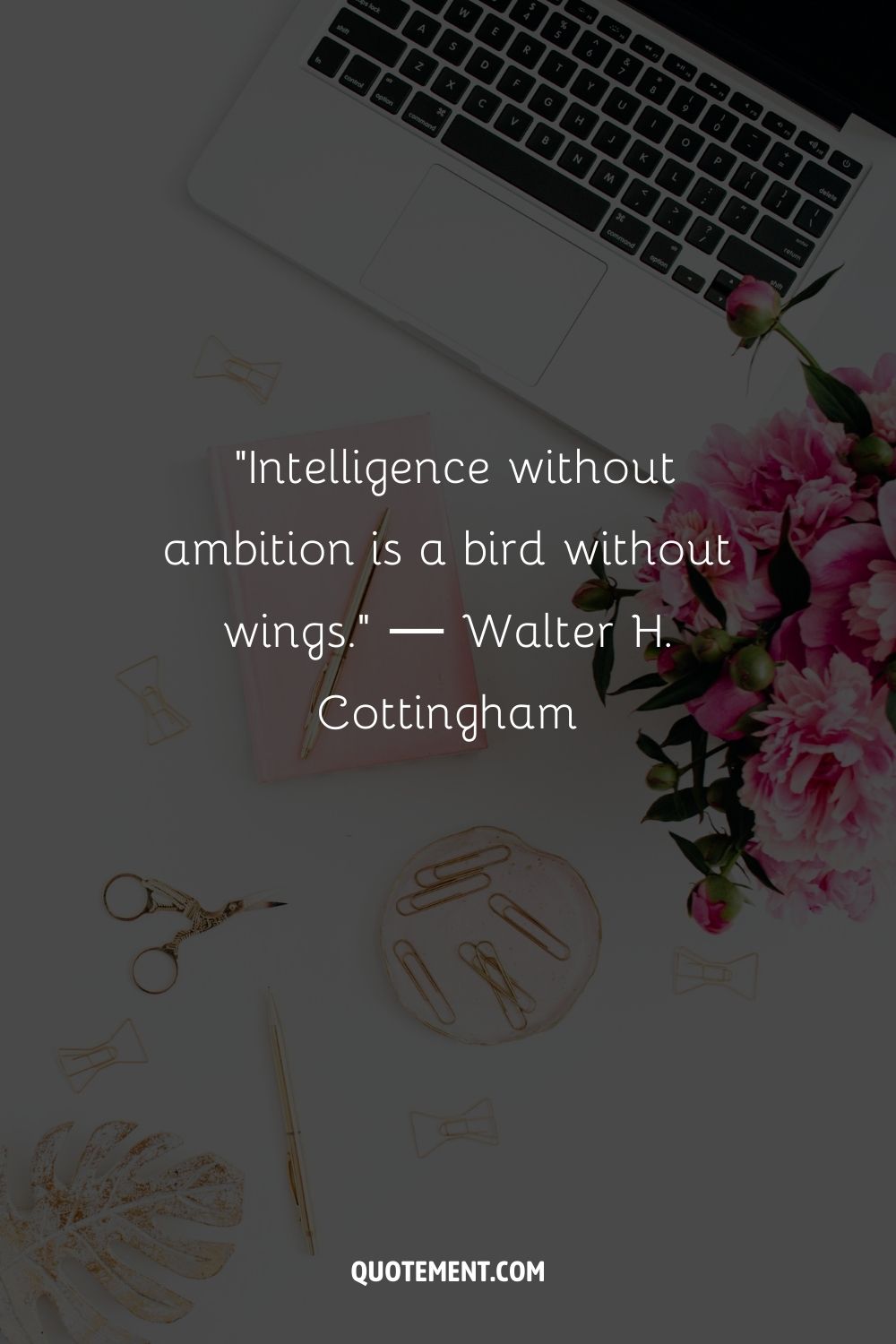 "La inteligencia sin ambición es un pájaro sin alas". - Walter H. Cottingham