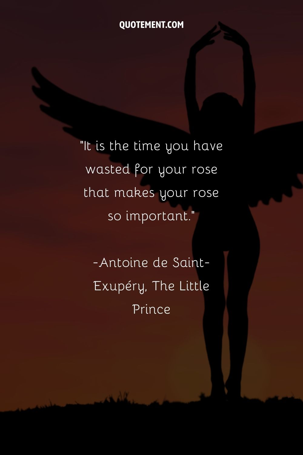 It is the time you have wasted for your rose that makes your rose so important