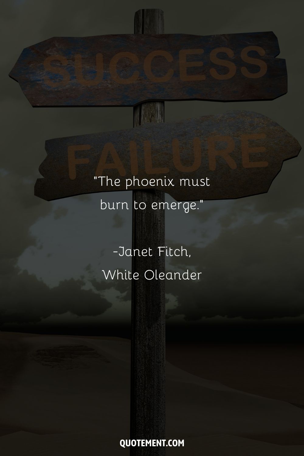 “The phoenix must burn to emerge.” ― Janet Fitch, White Oleander