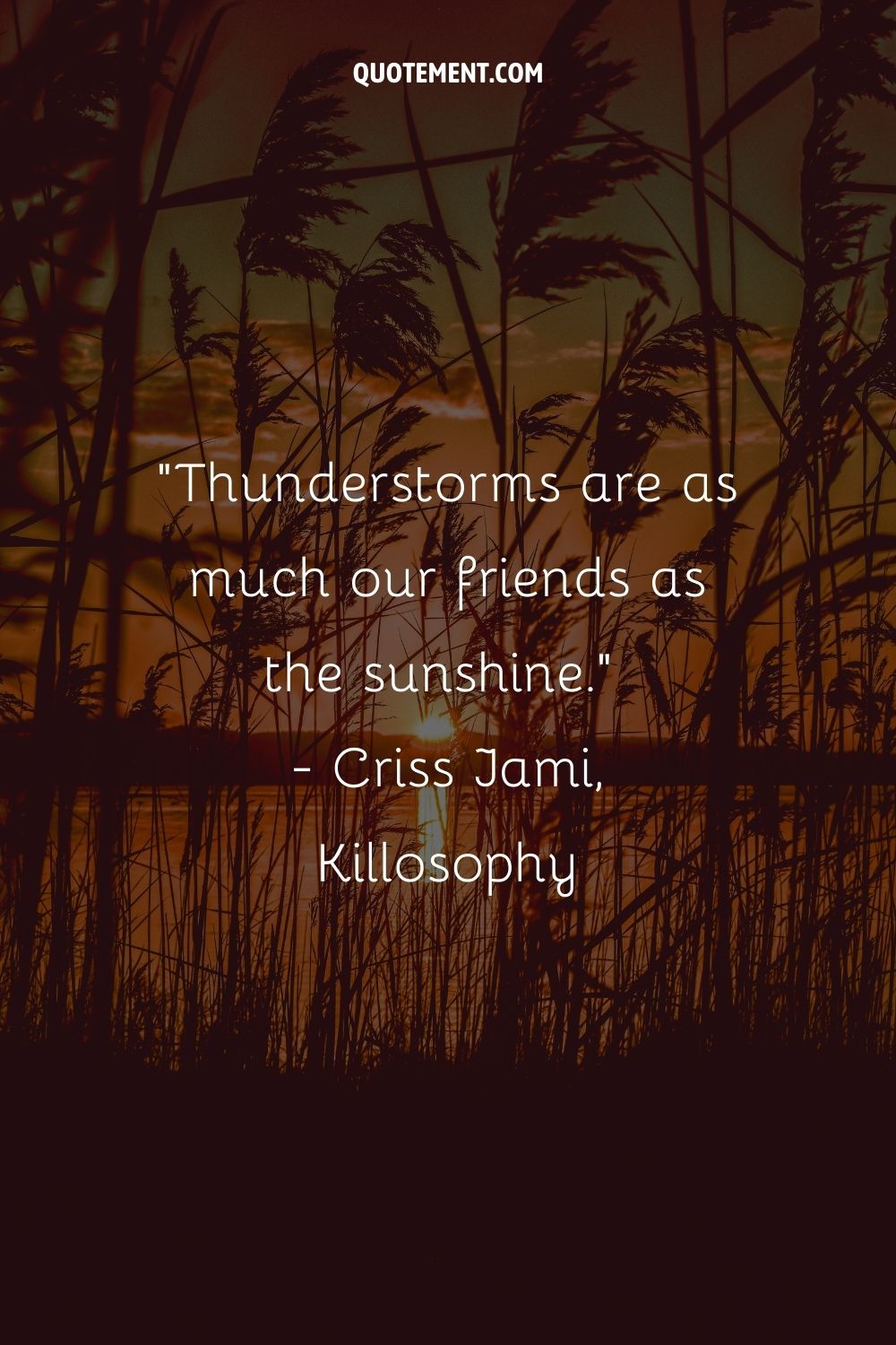 Thunderstorms are as much our friends as the sunshine.
