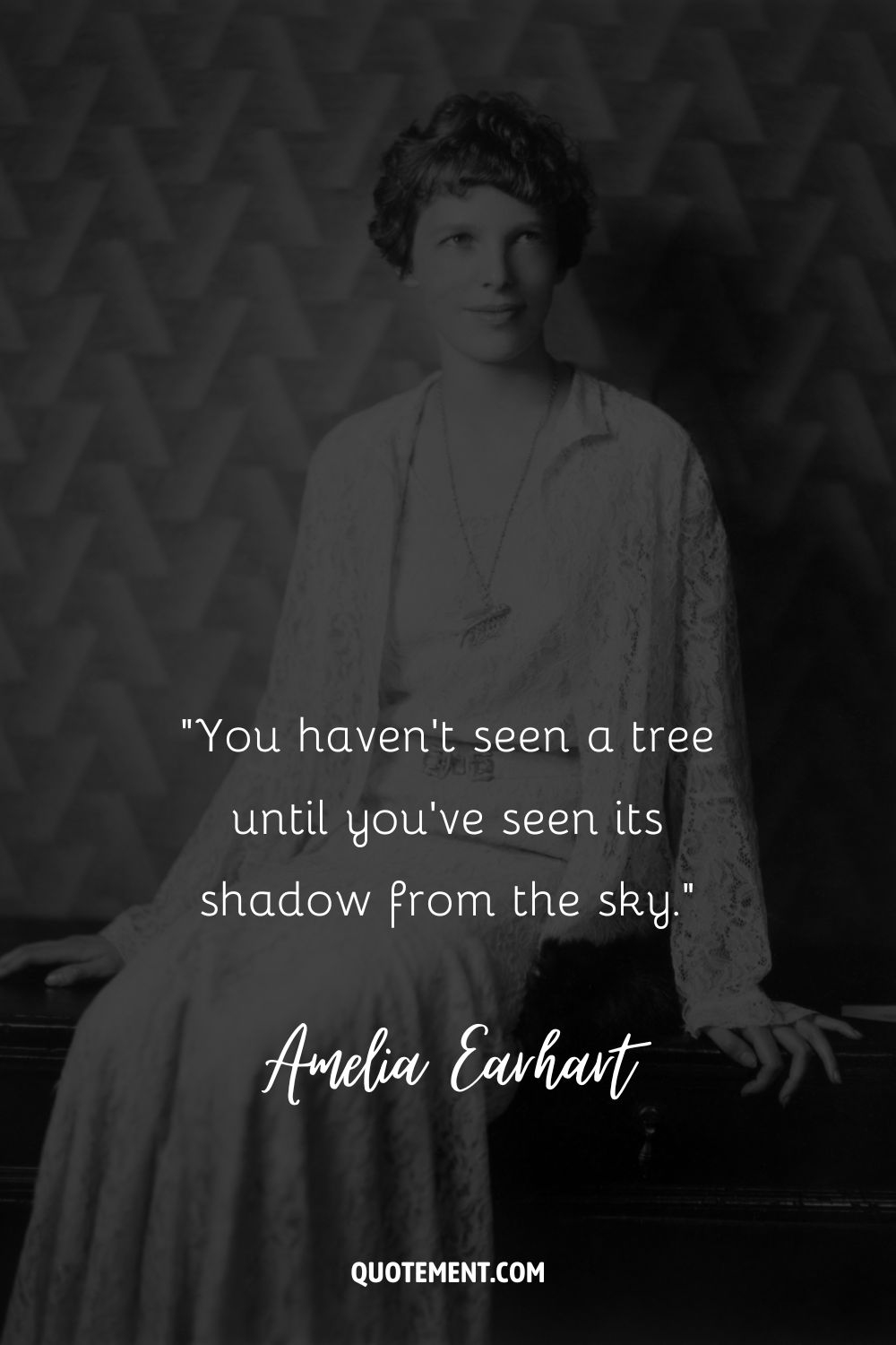 “You haven't seen a tree until you've seen its shadow from the sky.” ― Amelia Earhart