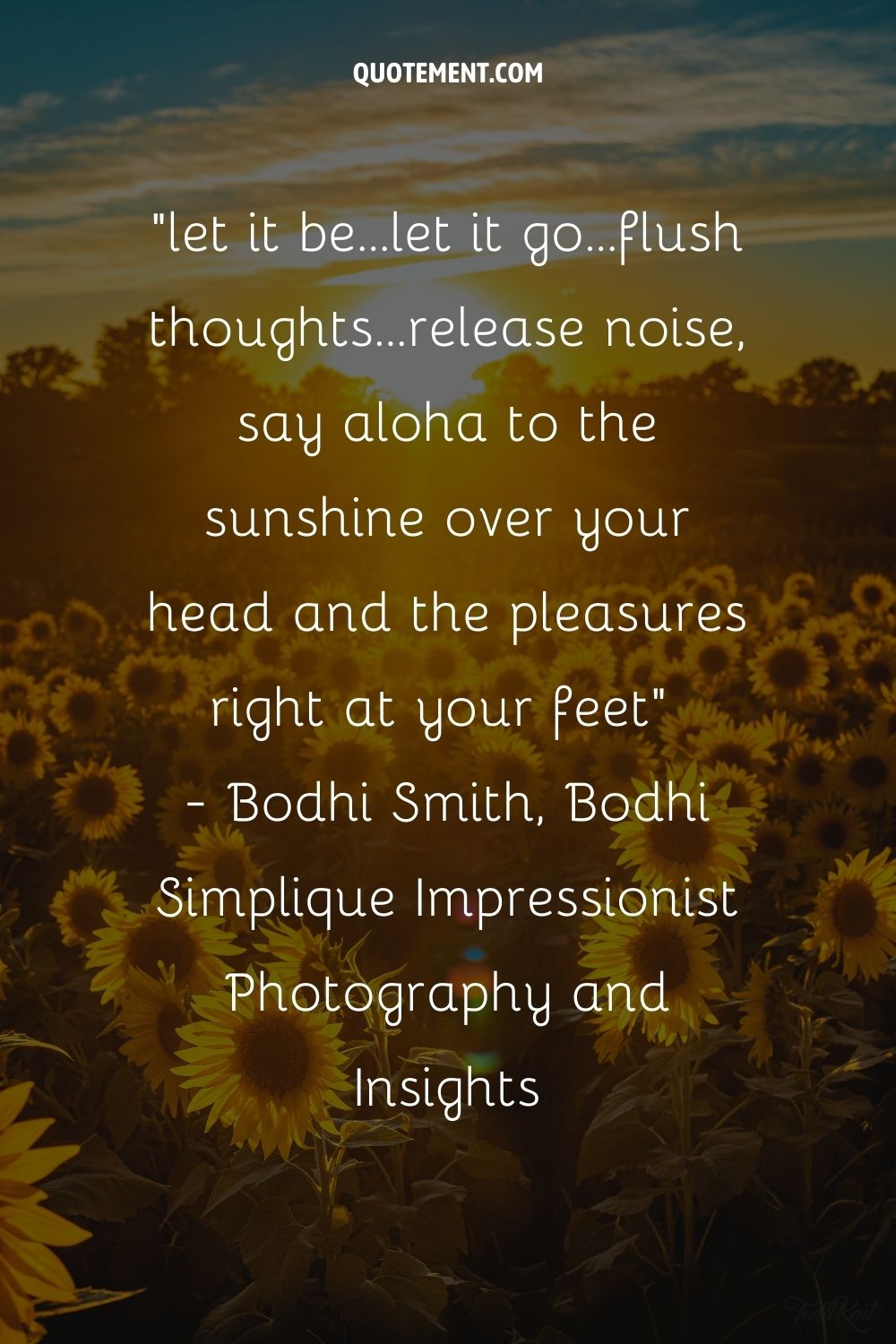 let it be...let it go...flush thoughts...release noise, say aloha to the sunshine over your head and the pleasures right at your feet