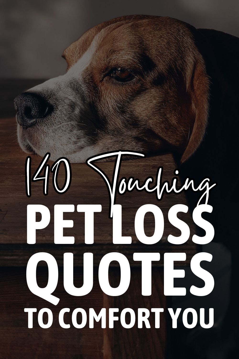 140 Heart-Touching Pet Loss Quotes To Console Your Grief