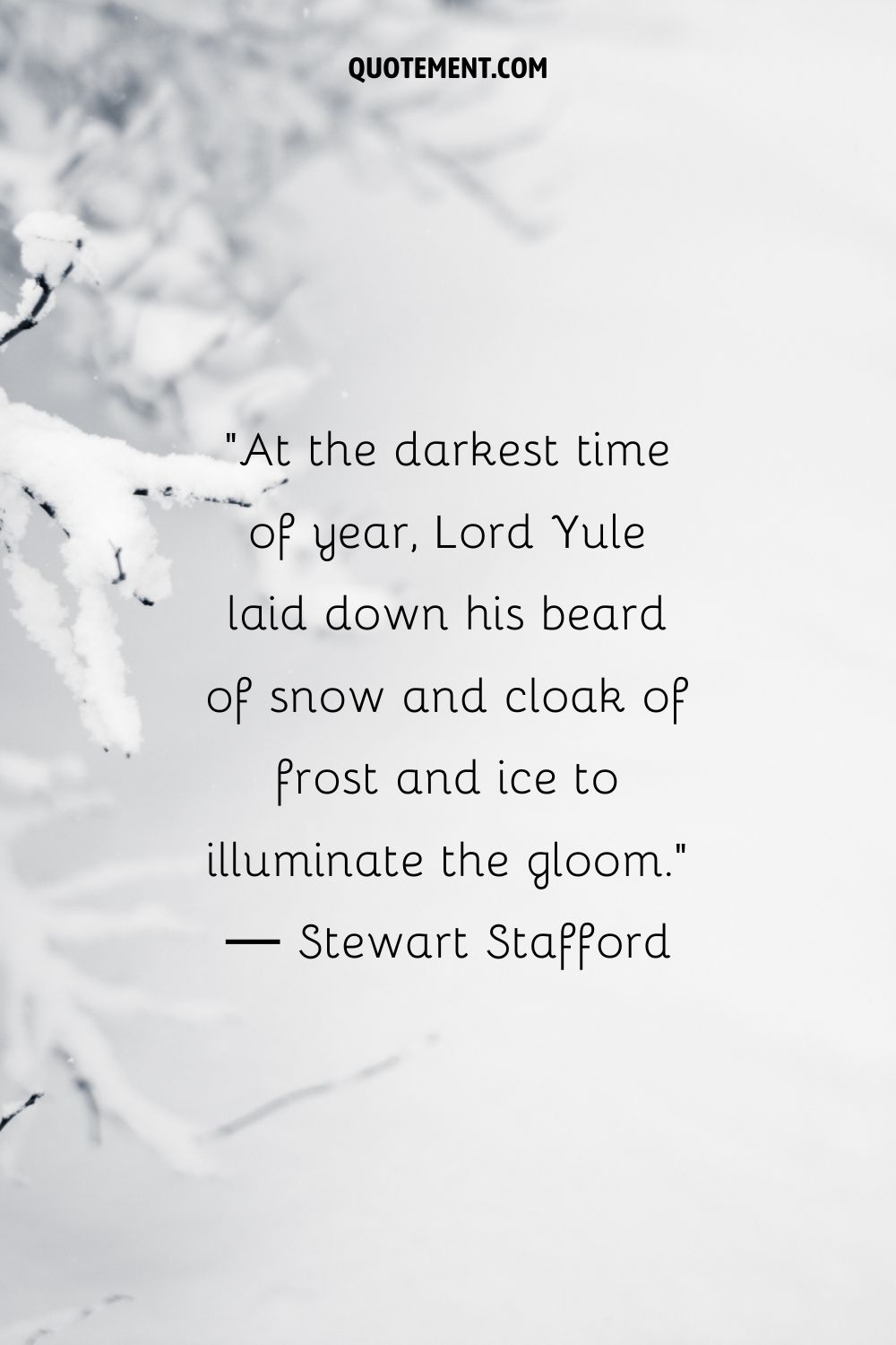Snow-laden branches representing an amazing winter solstice quote