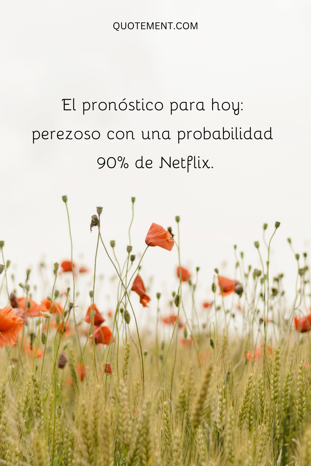 El pronóstico de hoy perezoso con un 90% probabilidad de Netflix