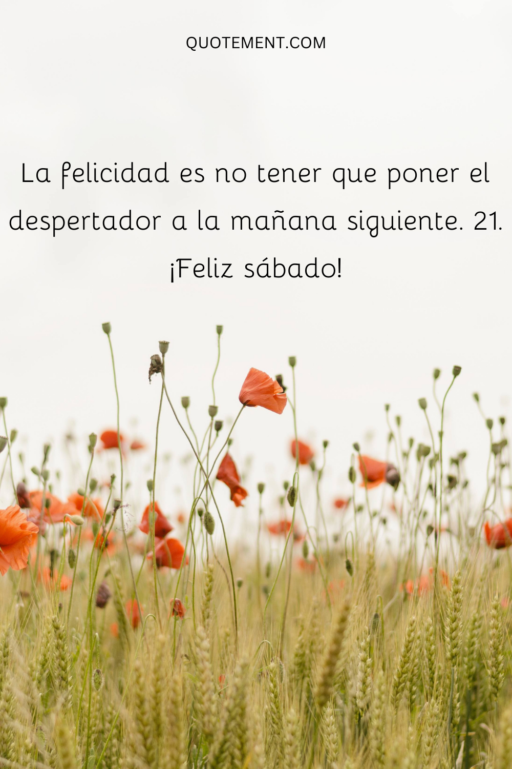 La felicidad es no tener que poner el despertador a la mañana siguiente.