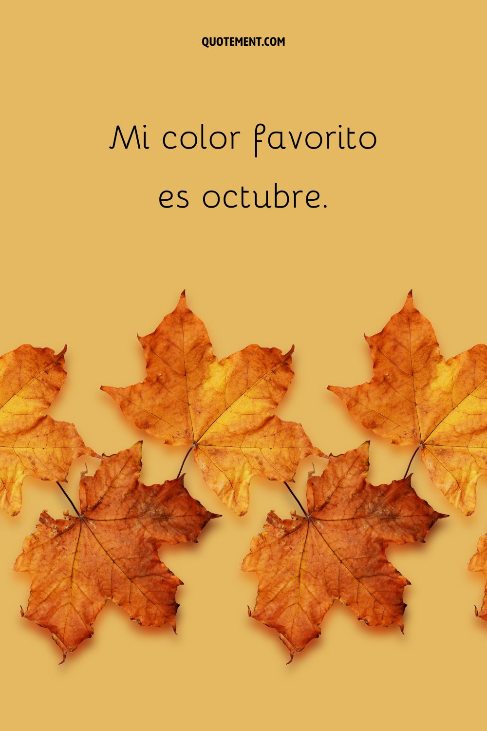 Hojas doradas de otoño que representan el mejor pie de foto otoñal para Instagram.