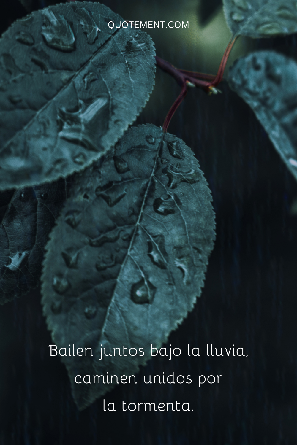 Bailen juntos bajo la lluvia, caminen unidos en la tormenta.