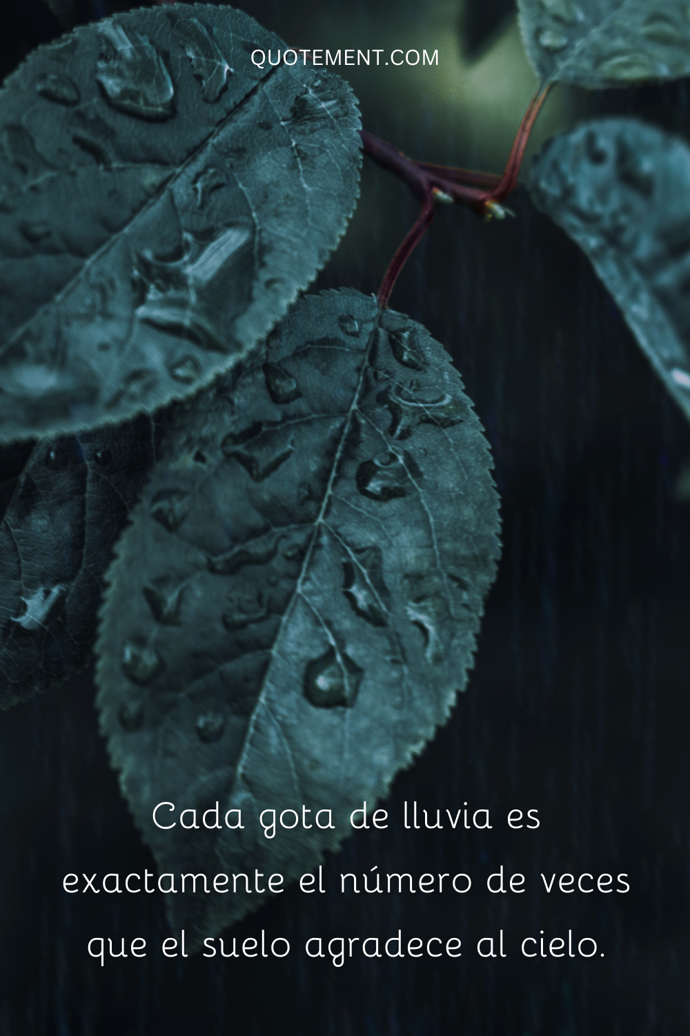 Cada gota de lluvia es exactamente el número de veces que el suelo agradece al cielo.