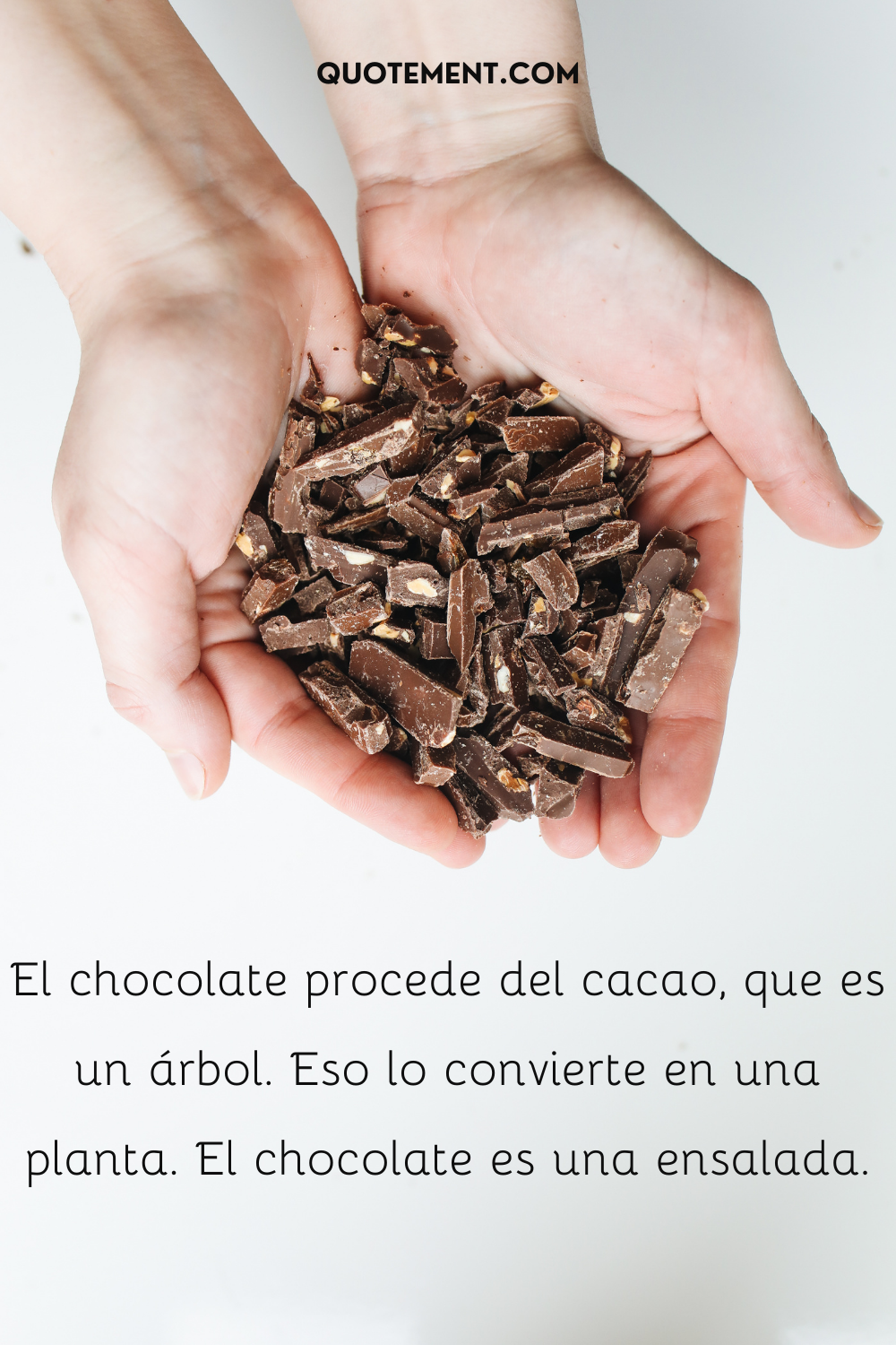 El chocolate procede del cacao, que es un árbol. Eso lo convierte en una planta. El chocolate es una ensalada.