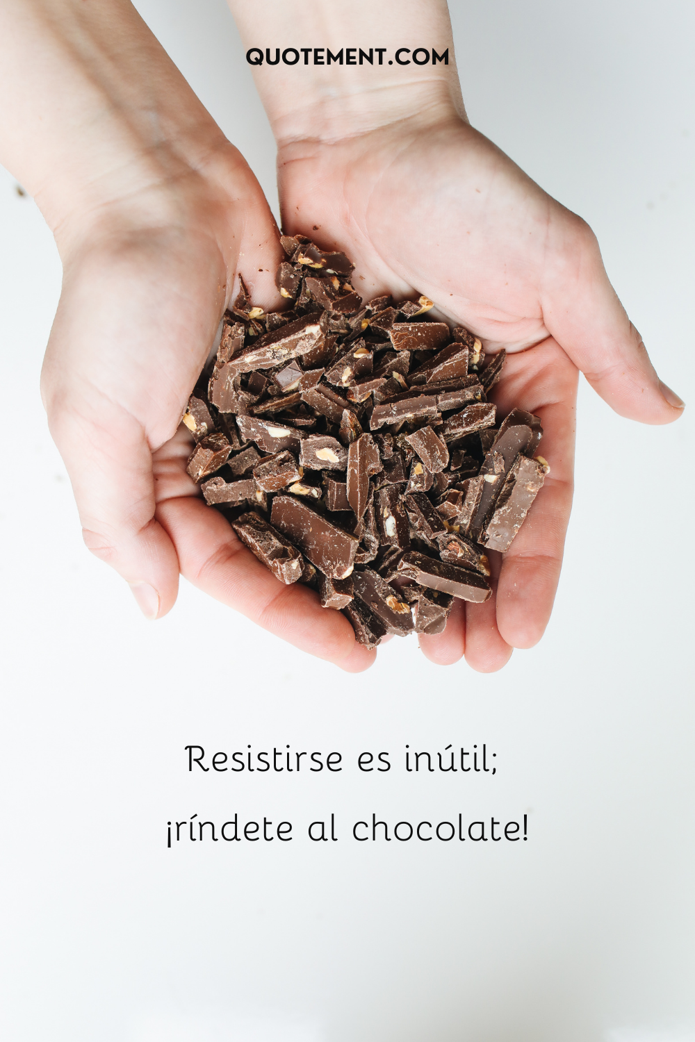 Resistirse es inútil; ¡ríndete al chocolate!