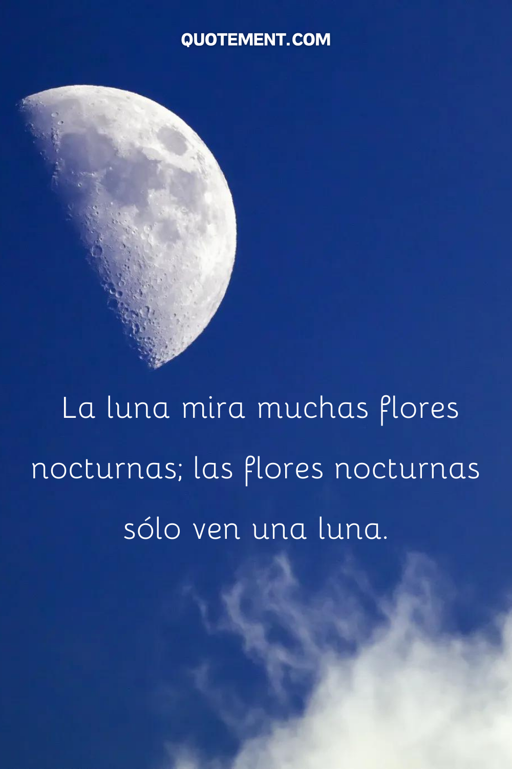 La luna mira muchas flores nocturnas; las flores nocturnas sólo ven una luna.
