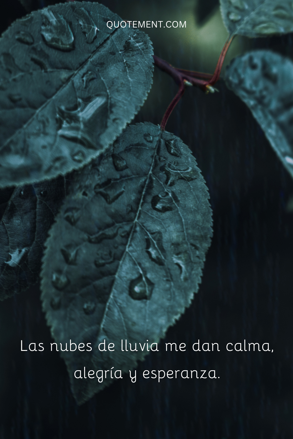 Las nubes de lluvia me dan calma, alegría y esperanza.