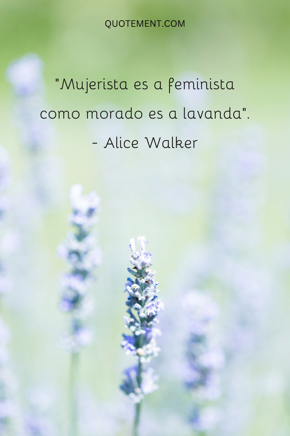 Mujerista es a feminista lo que morado es a lavanda