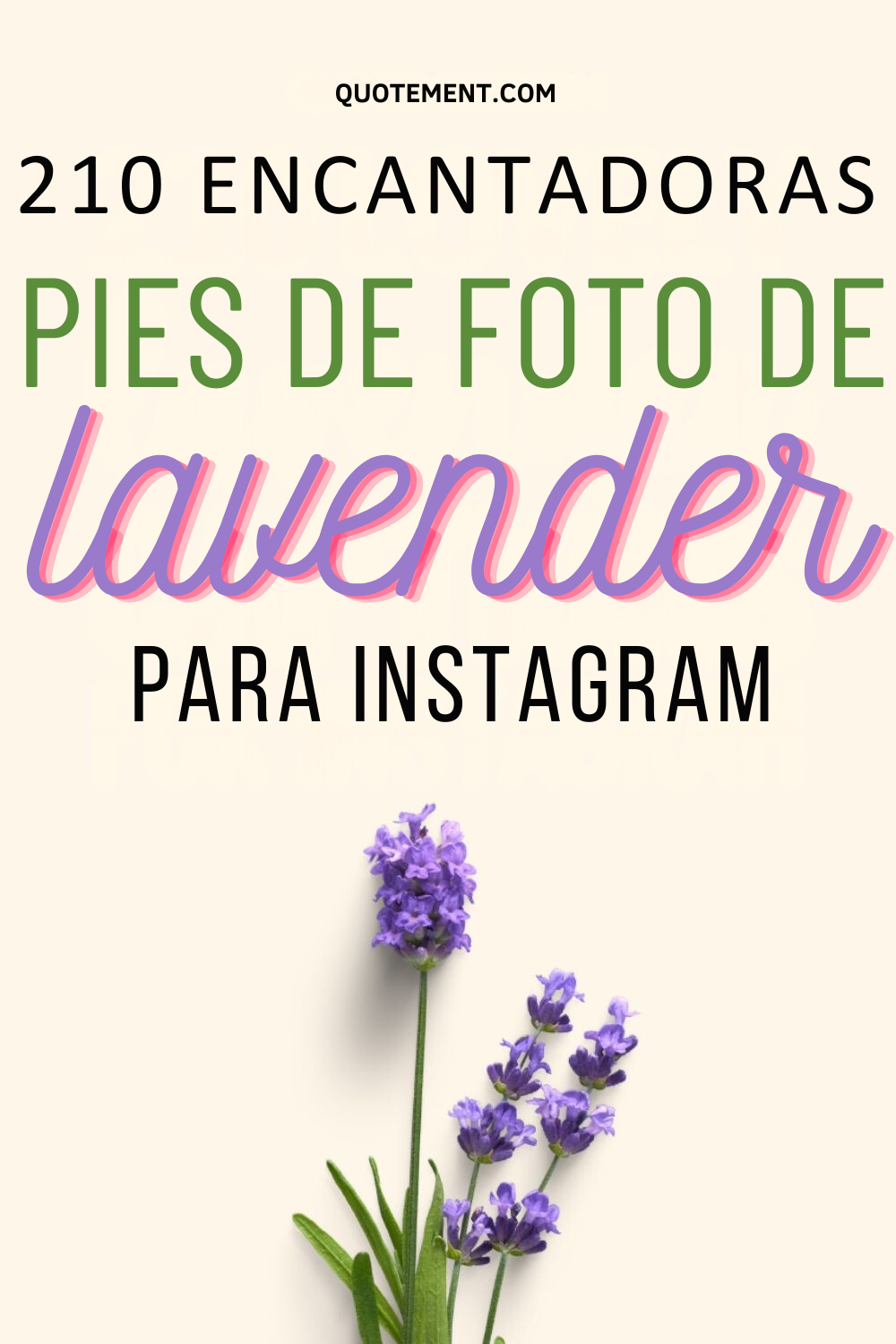 210 leyendas de lavanda perfectas para tus publicaciones de Instagram