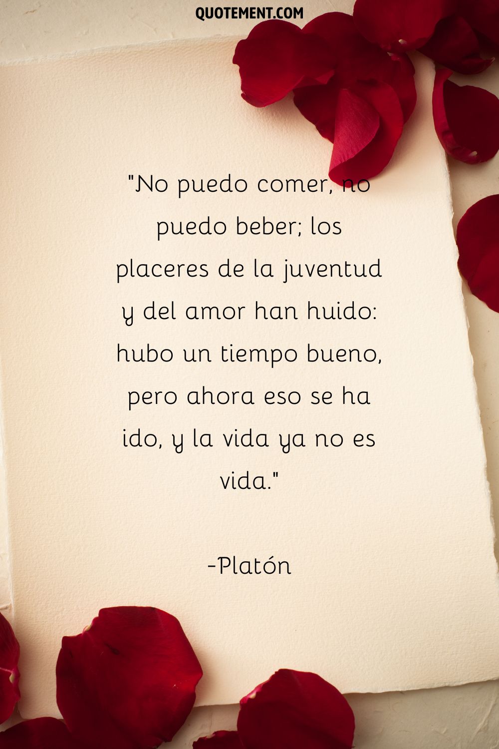 papel blanco con pétalos de rosa esparcidos que representan la vida cita sobre el amor perdido