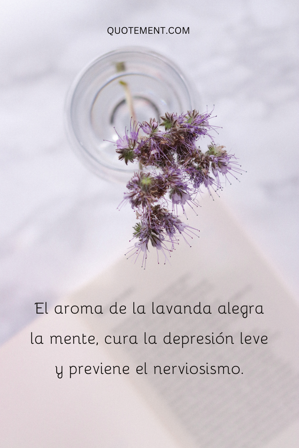 El aroma de la lavanda alegra la mente