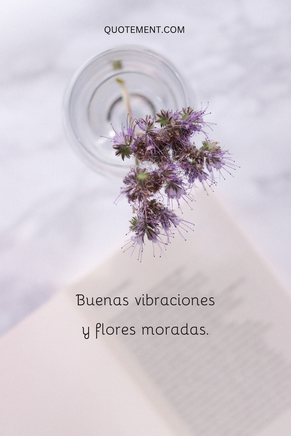 Buenas vibraciones y flores moradas