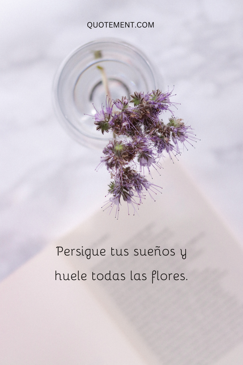 Persigue tus sueños y huele todas las flores