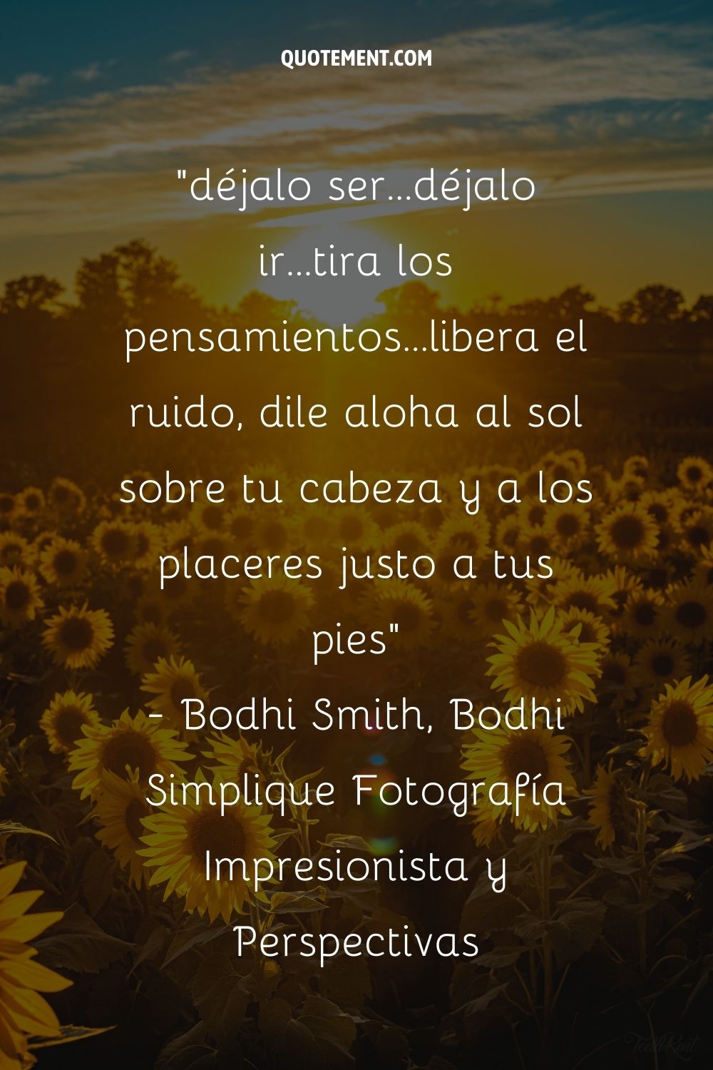 deja que sea...deja que se vaya...descarga los pensamientos...libera el ruido, di aloha a la luz del sol sobre tu cabeza y a los placeres justo a tus pies