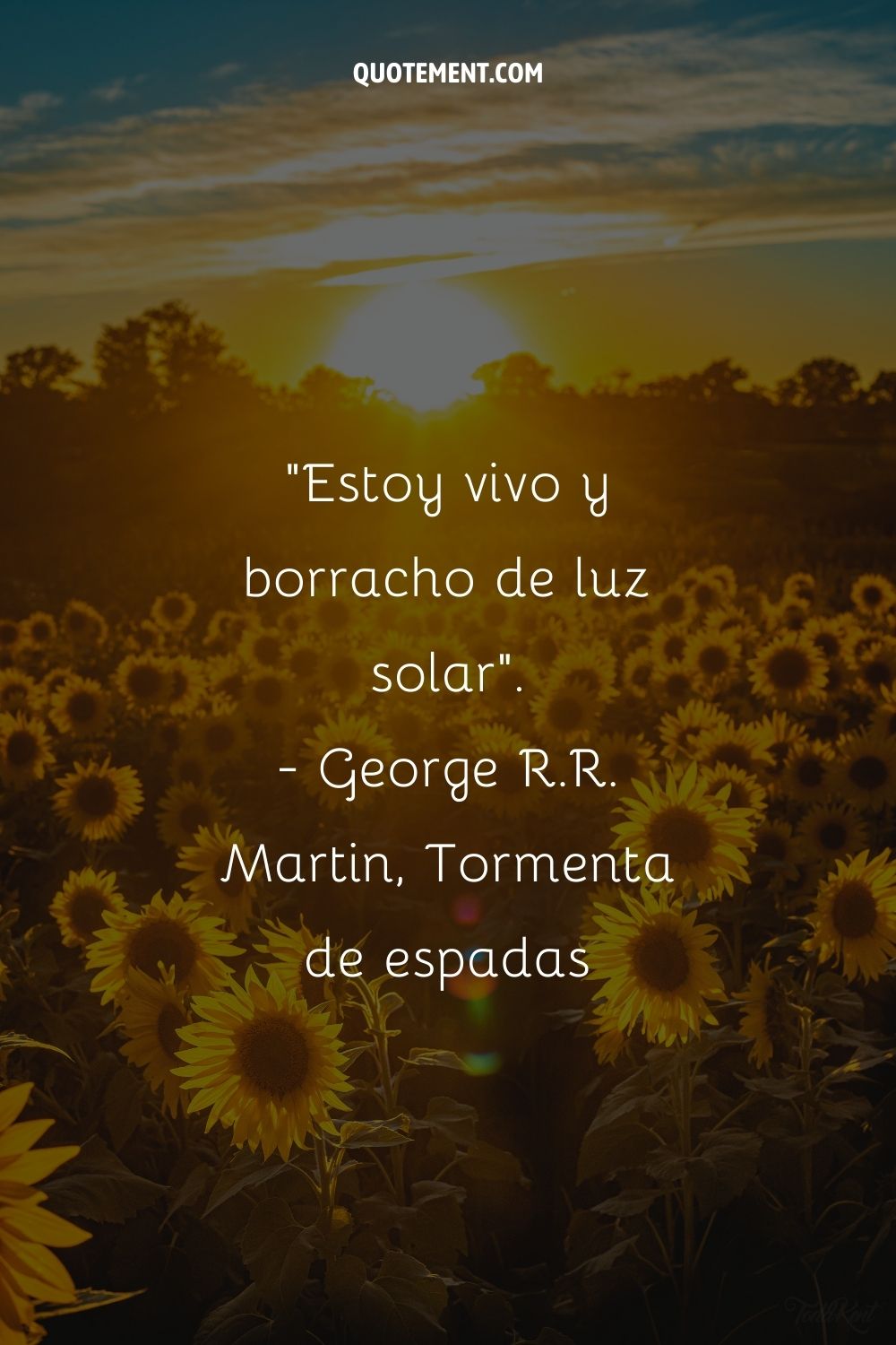 Estoy vivo y borracho de luz solar.