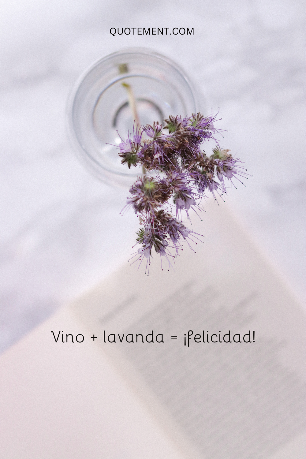 Vino + lavanda = felicidad