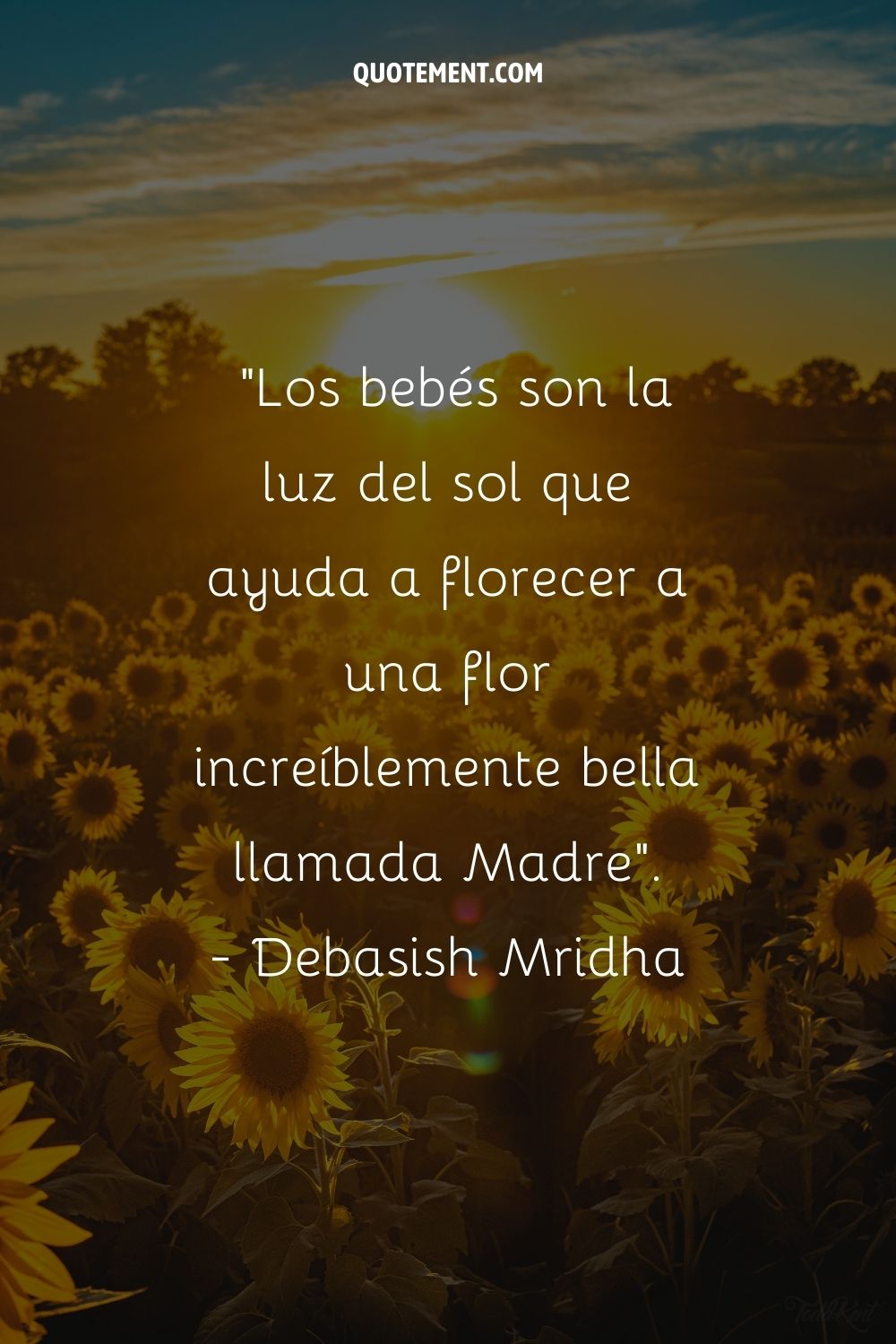 Los bebés son la luz del sol que ayuda a florecer a una flor increíblemente hermosa llamada Madre.