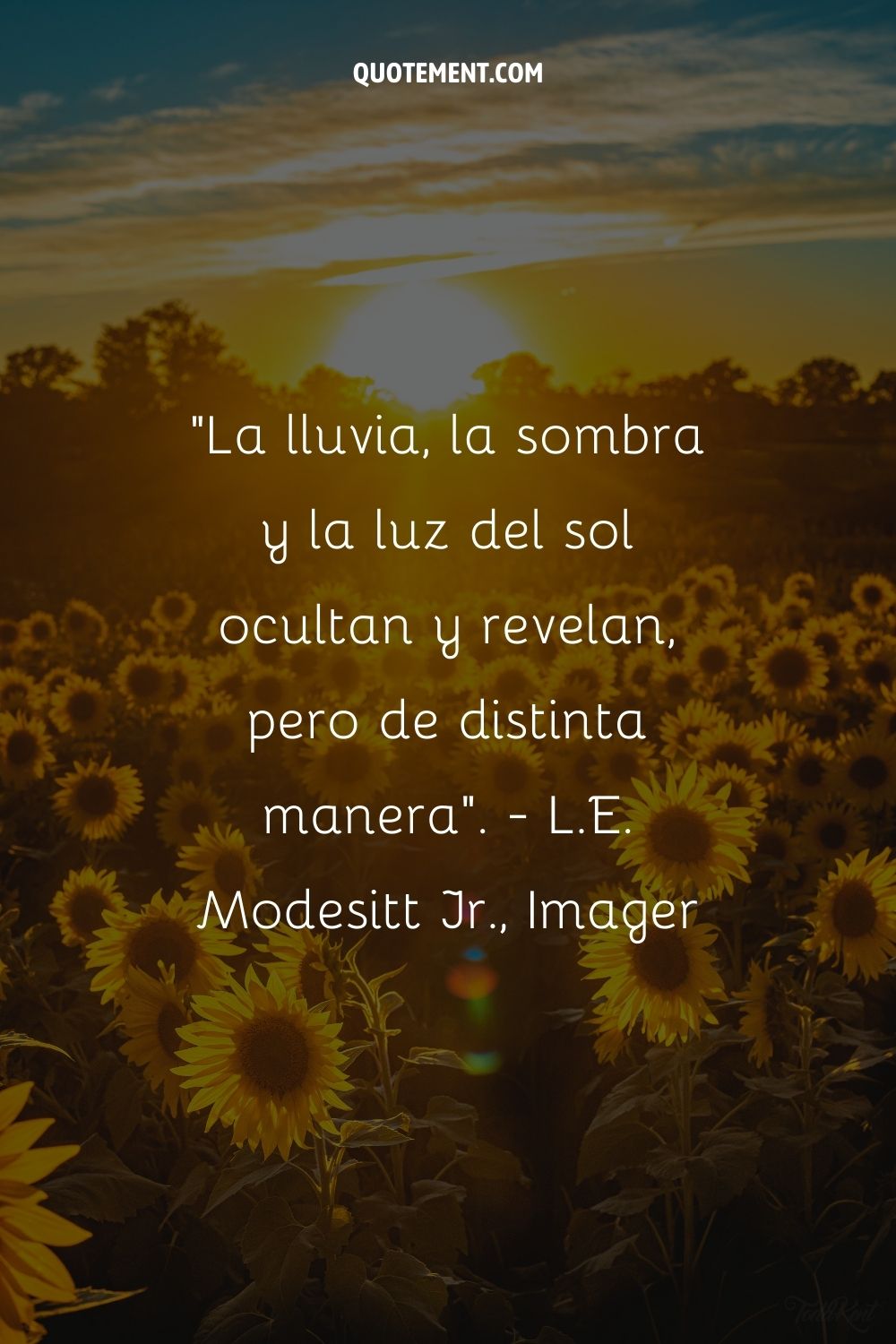 La lluvia, la sombra y la luz del sol ocultan y revelan de diferentes maneras.