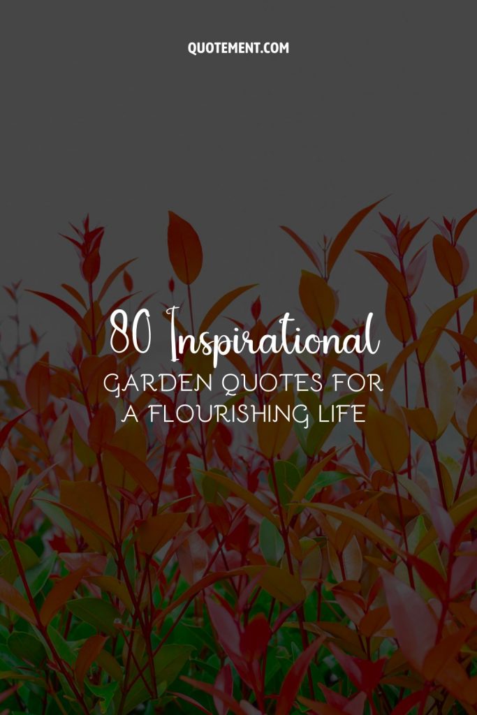 80 Inspirational Garden Quotes For A Flourishing Life