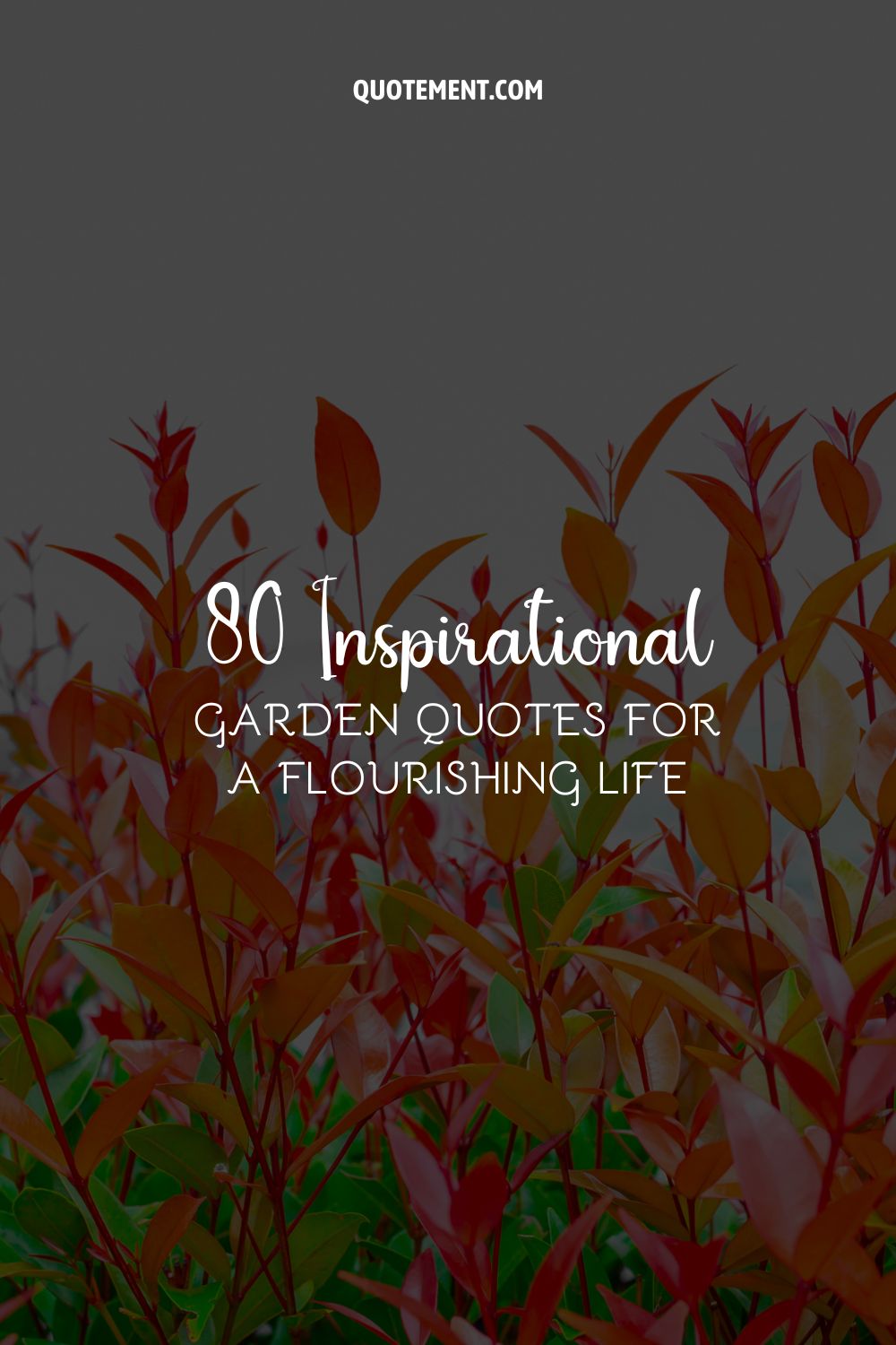 80 Inspirational Garden Quotes For A Flourishing Life 