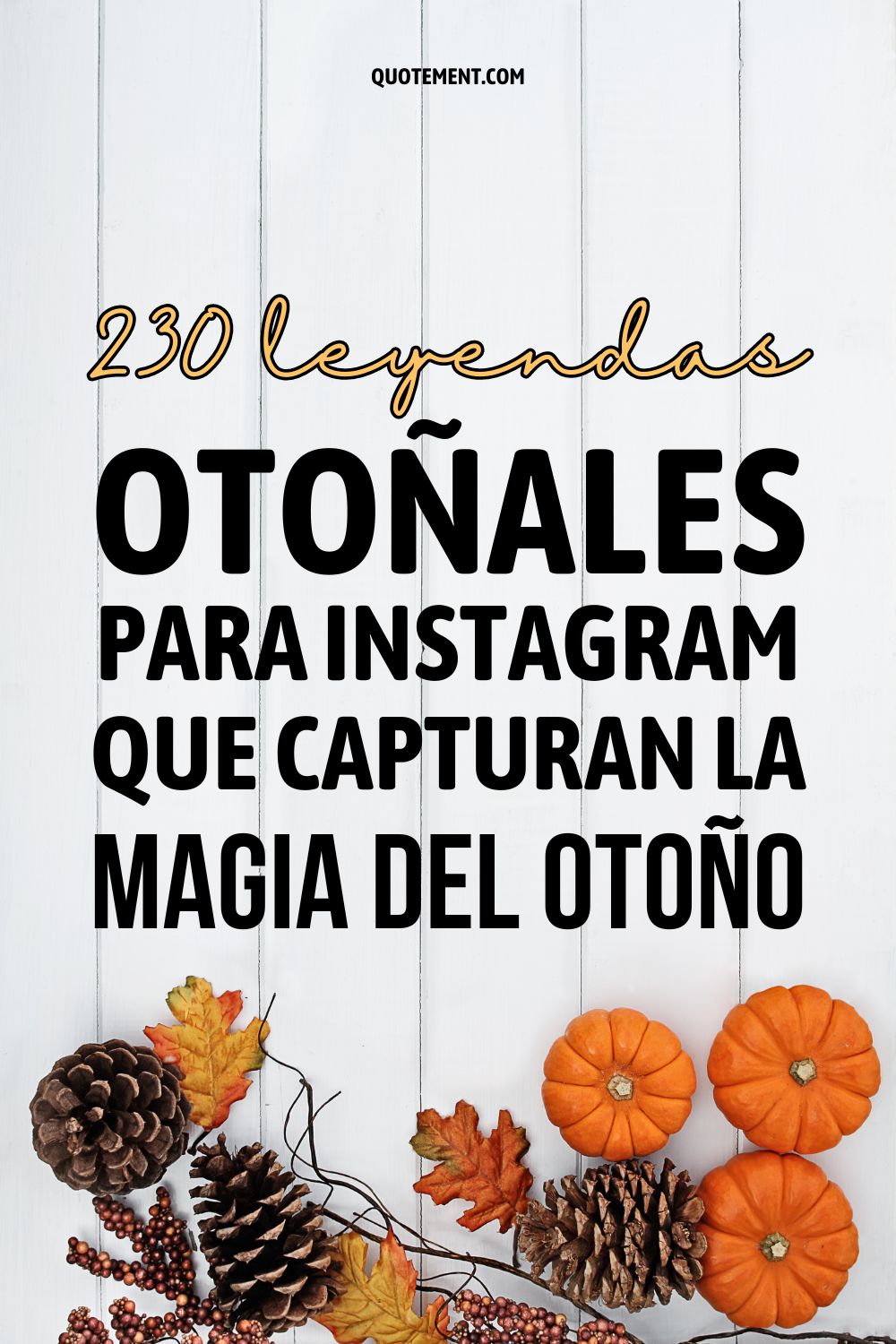 230 leyendas otoñales para Instagram que capturan la magia del otoño 