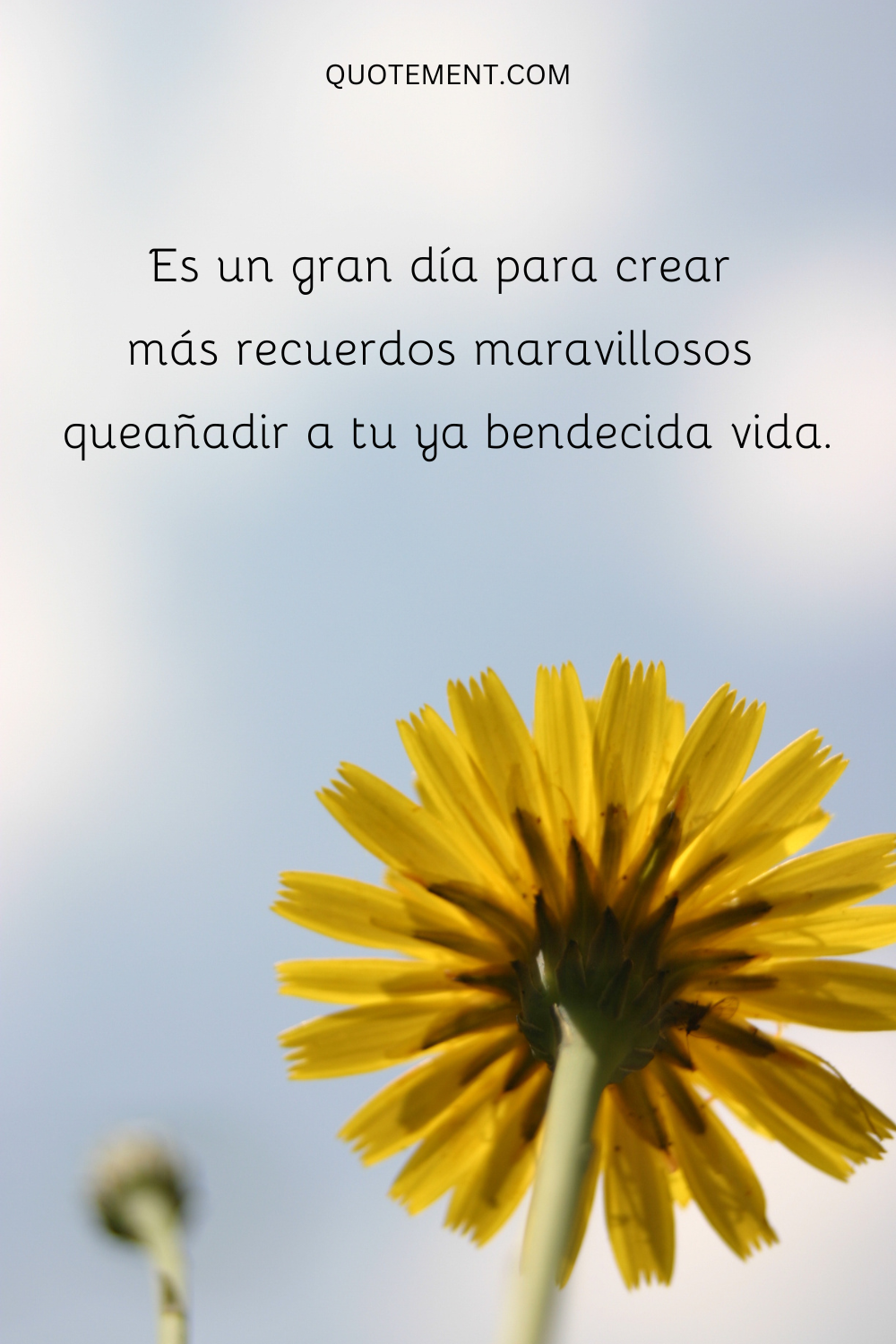 Es un gran día para crear más recuerdos maravillosos que añadir a tu ya bendecida vida.