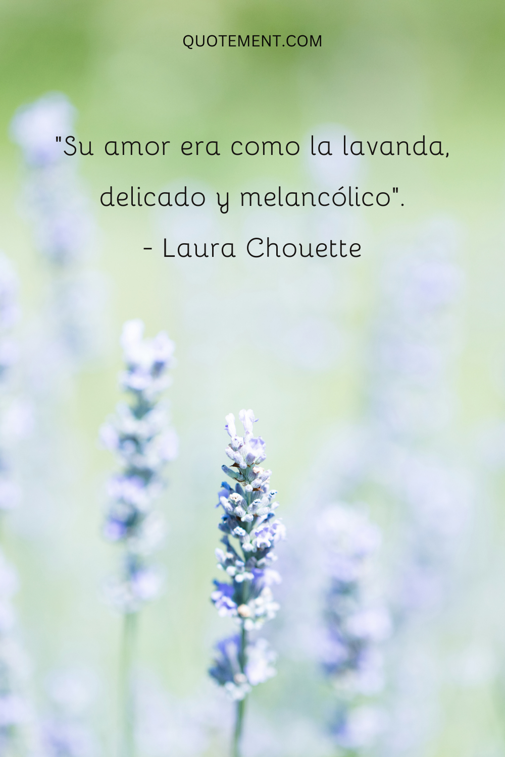 Su amor era como la lavanda, delicado y melancólico