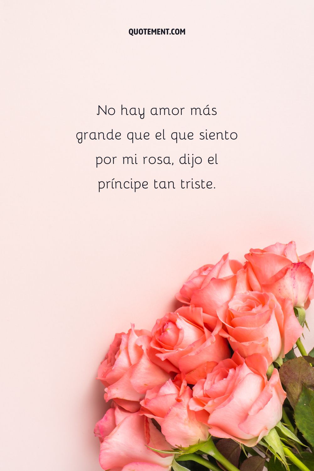 No hay amor más grande que el que siento por mi rosa, dijo el príncipe tan triste.