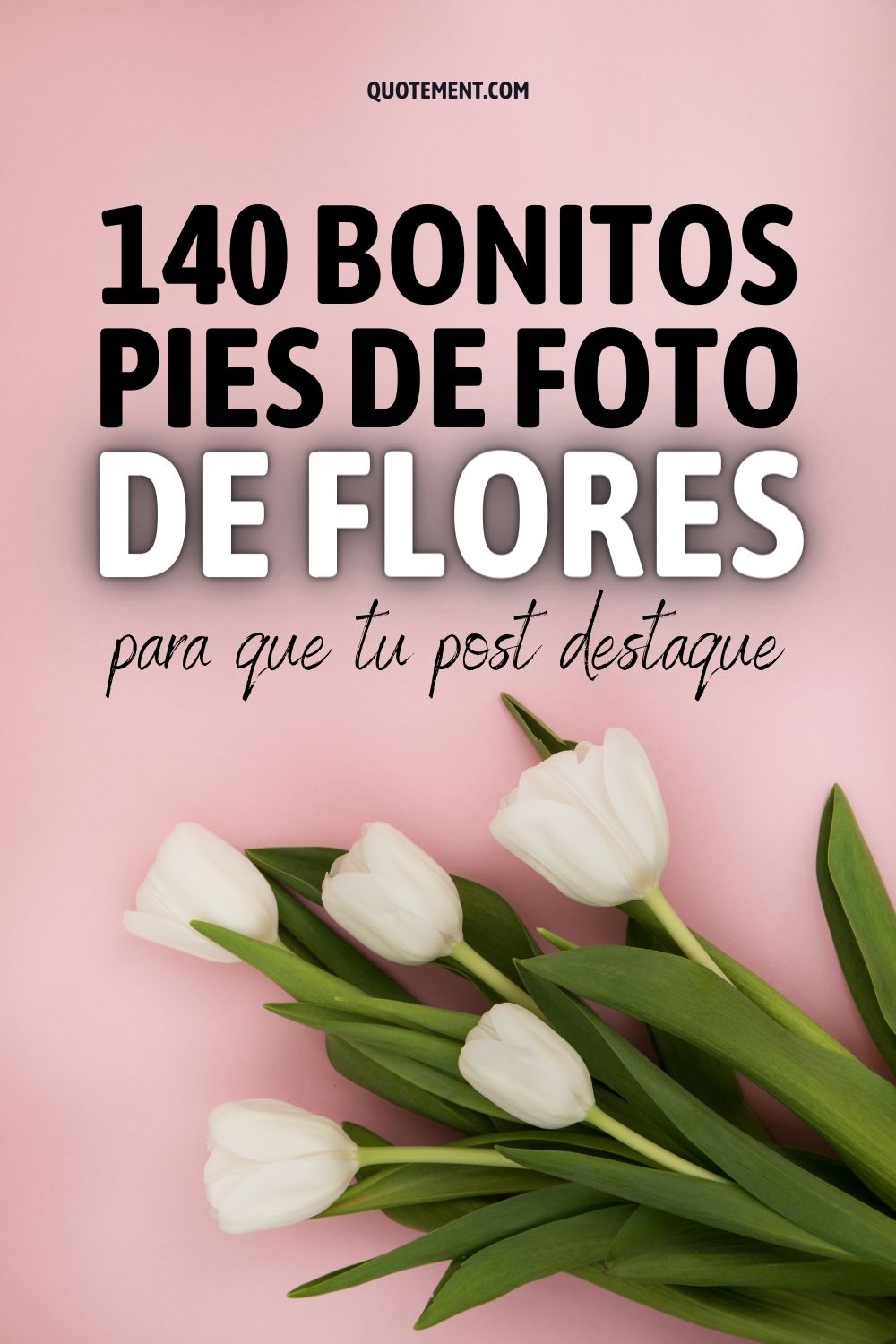 140 bonitos pies de foto de flores para que tu post destaque