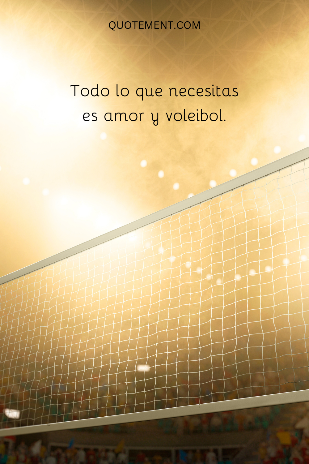 Todo lo que necesitas es amor y voleibol.