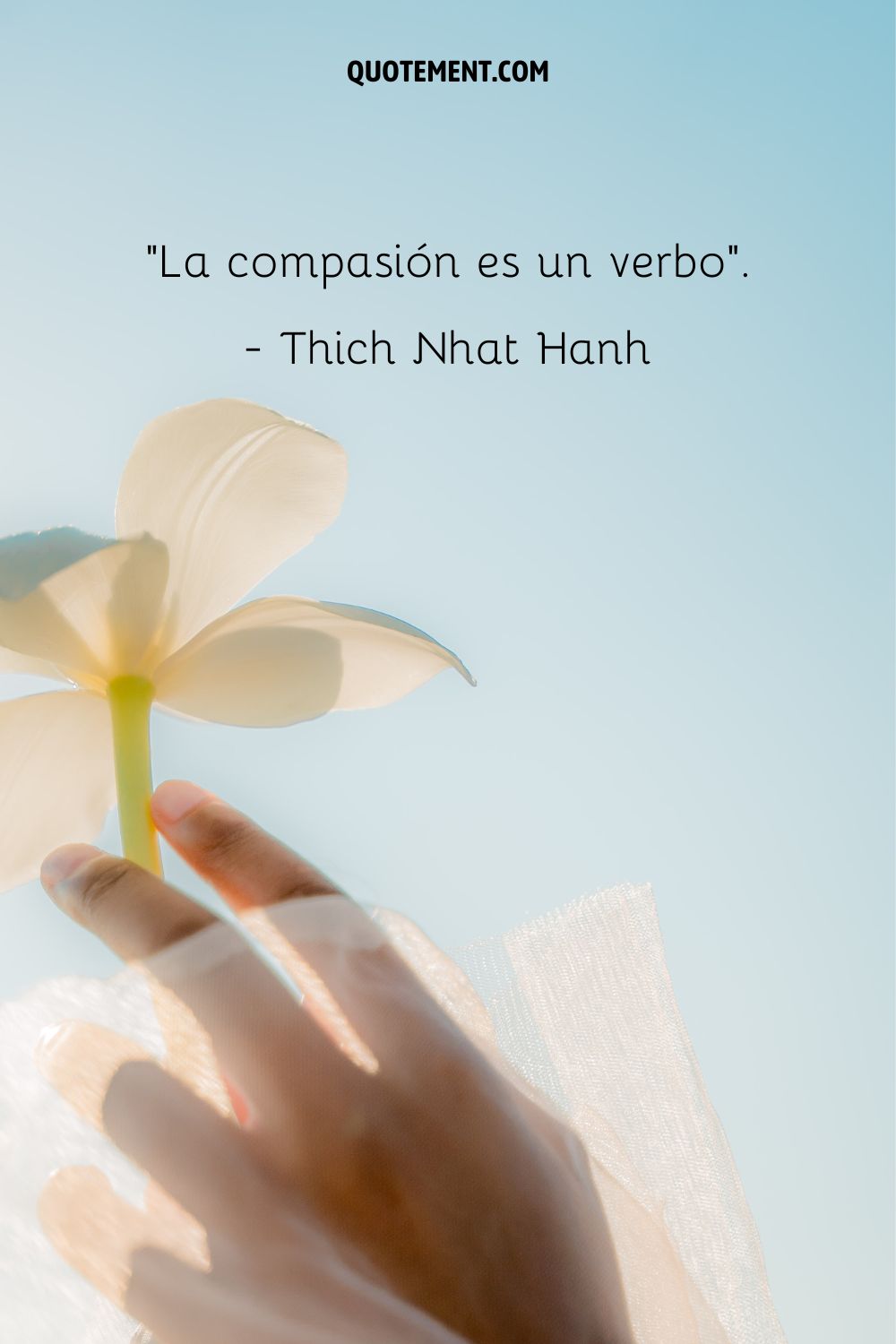La compasión es un verbo