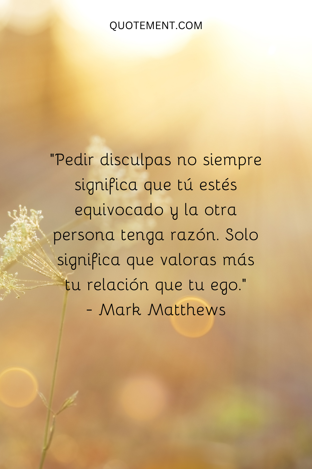 "Pedir disculpas no siempre significa que tú estés equivocado y la otra persona tenga razón. Solo significa que valoras más tu relación que tu ego". - Mark Matthews