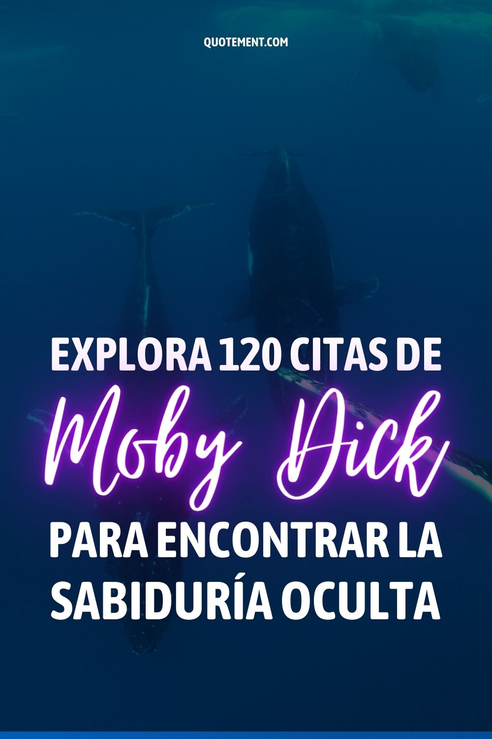 Explora 120 citas de Moby Dick para encontrar la sabiduría oculta 