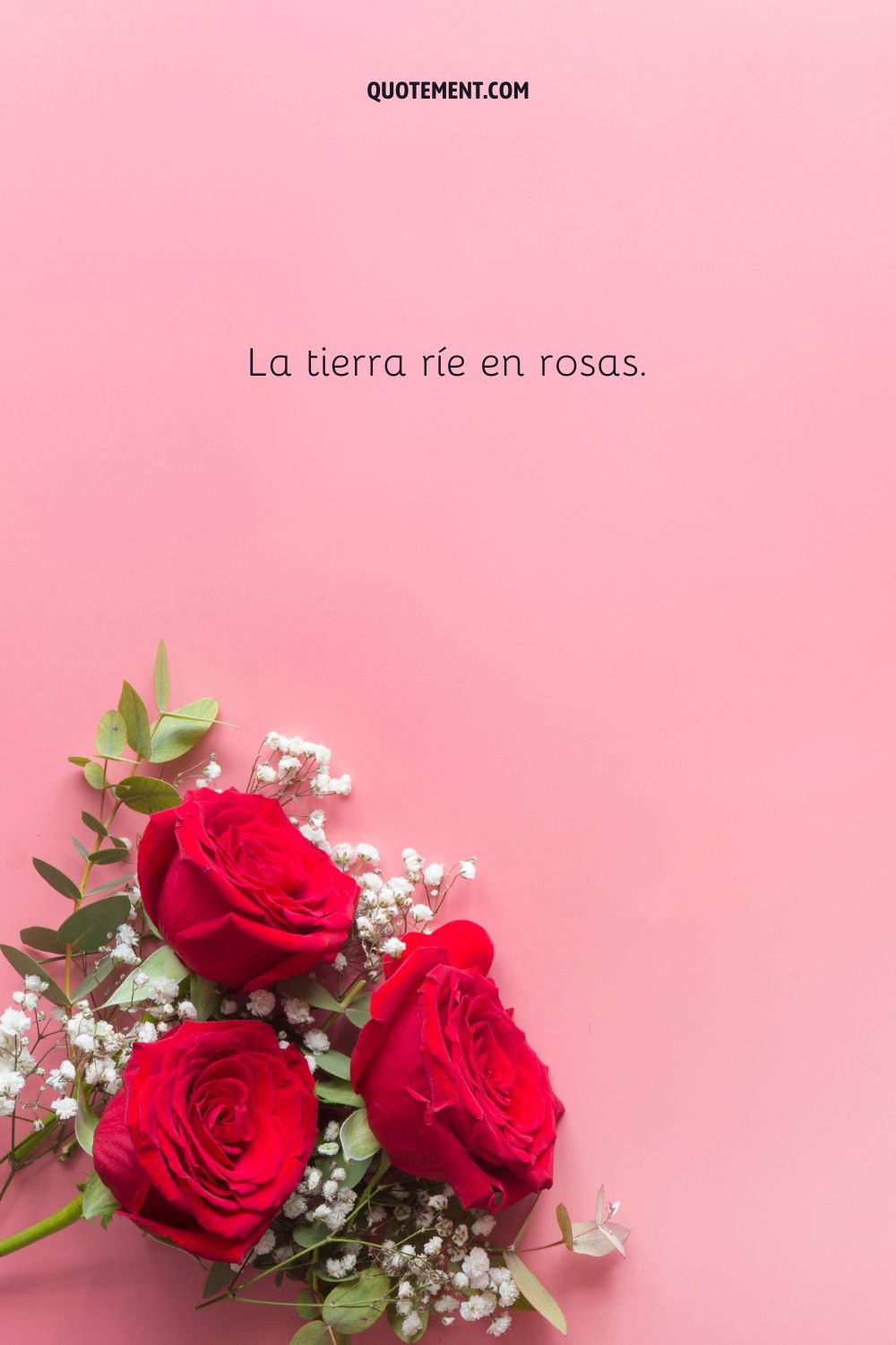 La tierra ríe en rosas.