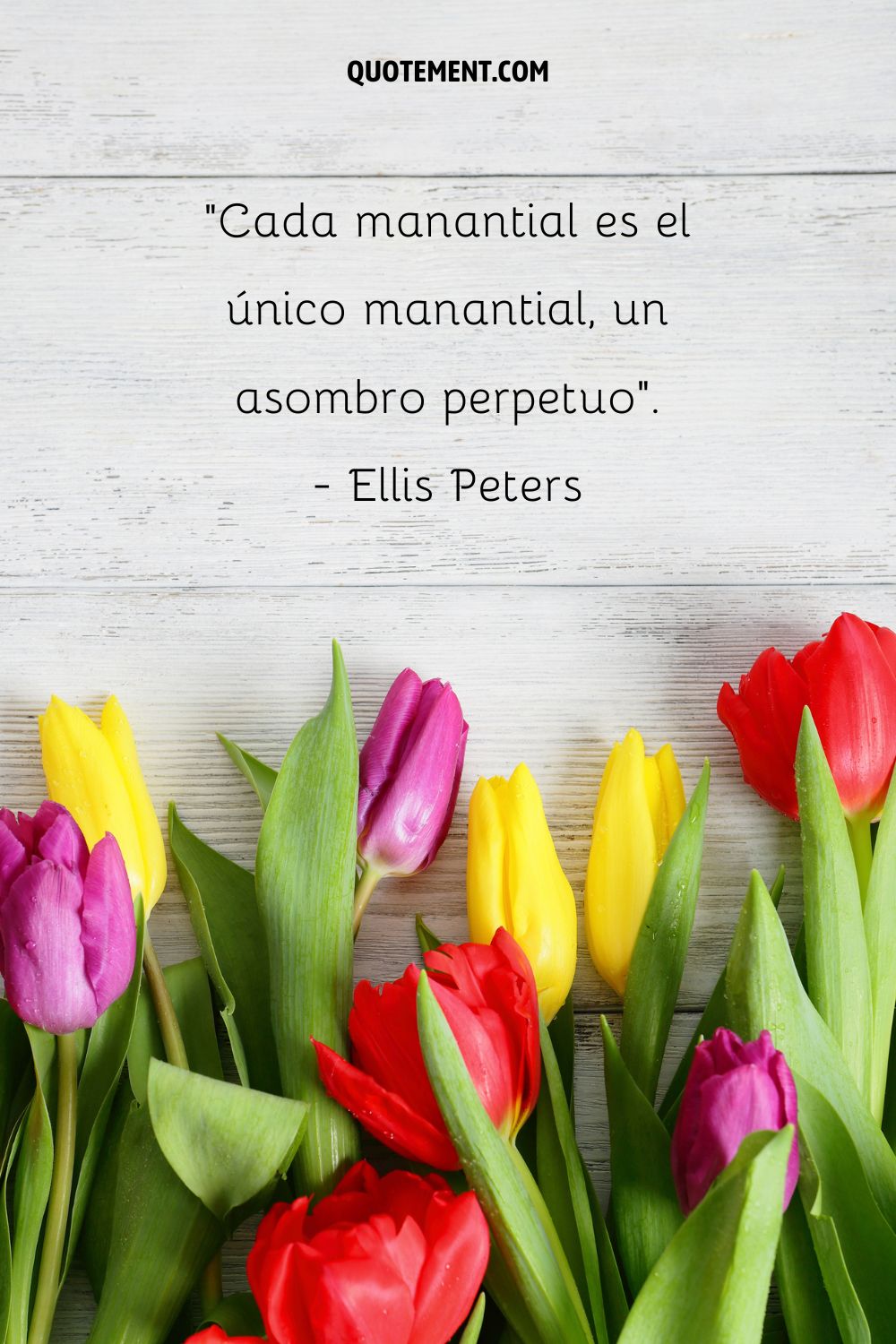 Cada primavera es la única primavera, un asombro perpetuo. - Ellis Peters