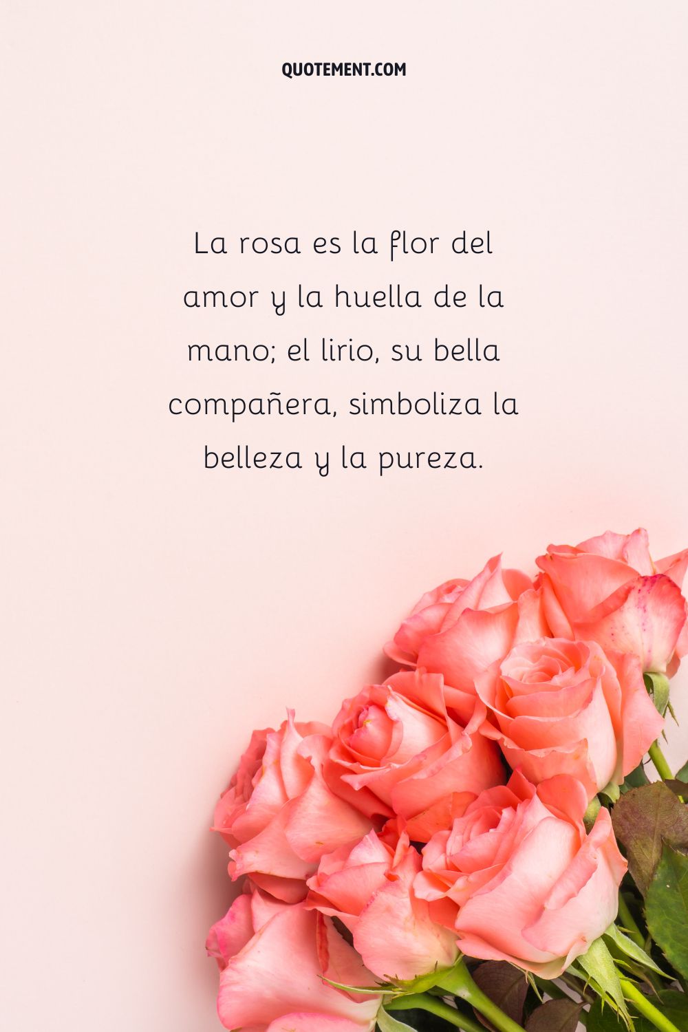 La rosa es la flor del amor y la huella de la mano
