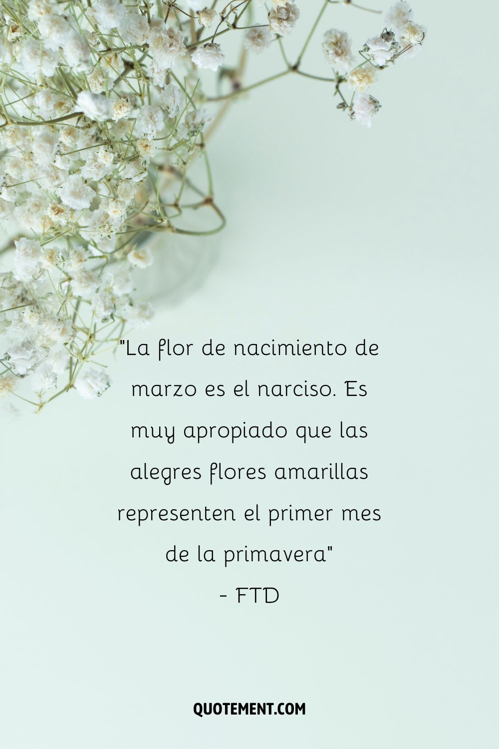 La flor de marzo es el narciso. Es muy apropiado que las alegres flores amarillas representen el primer mes de la primavera. - FTD