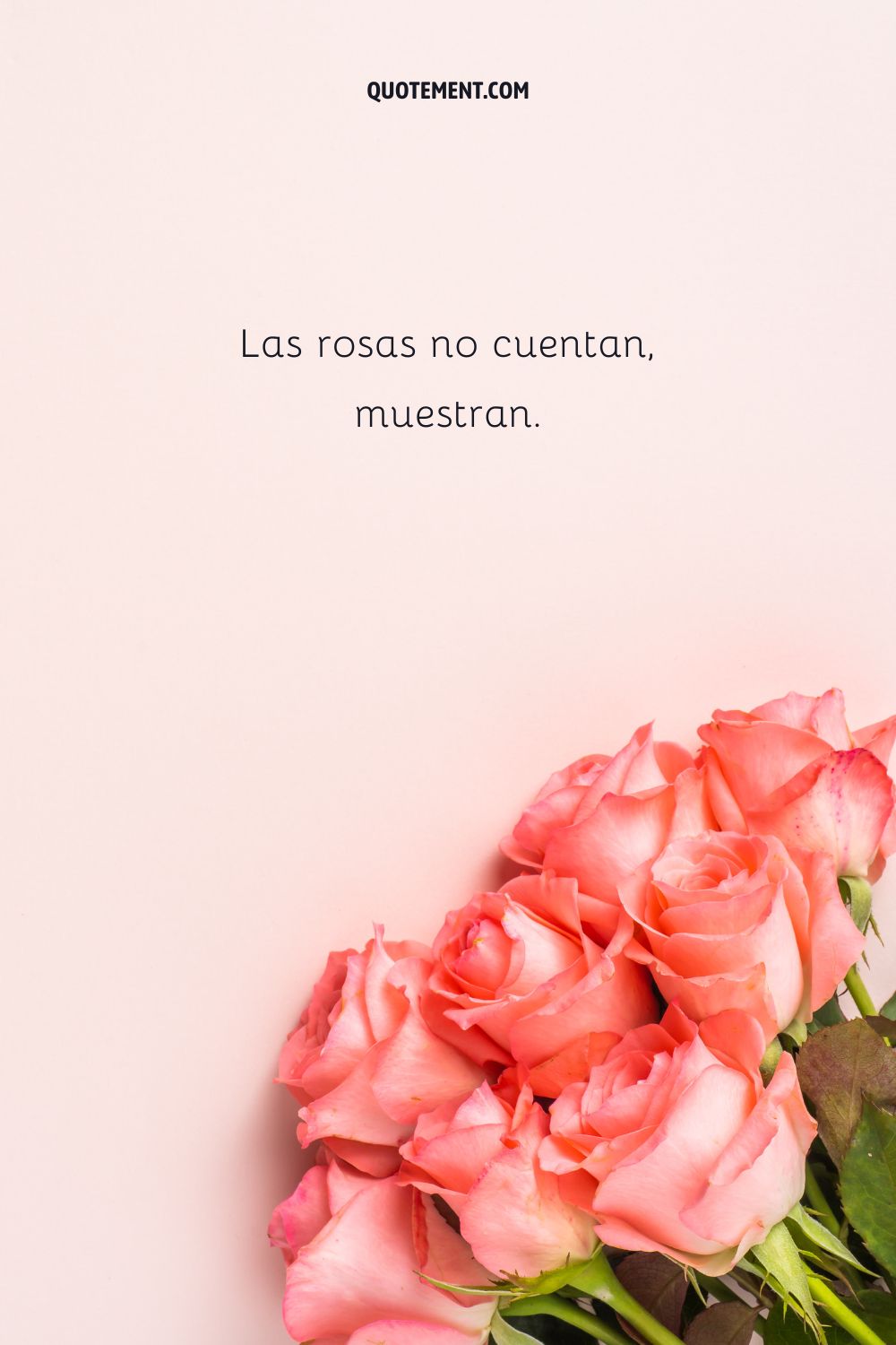 Las rosas no cuentan, muestran.