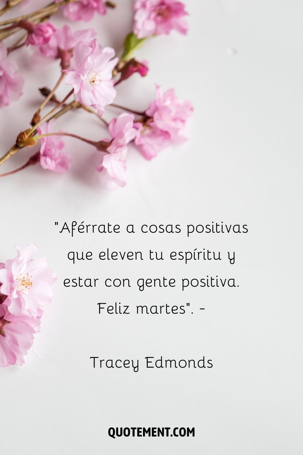 "Aférrate a cosas positivas que eleven tu espíritu y estate con gente positiva. Feliz martes". - Tracey Edmonds